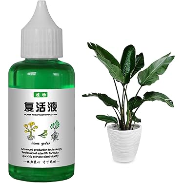 Amazon.co.jp 売れ筋ランキング: 盆栽の肥料 の中で最も人気の