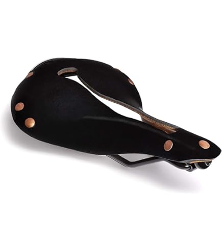 Amazon | Selle Anatomica(セラ・アナトミカ) R2 - ブラックシルバー 