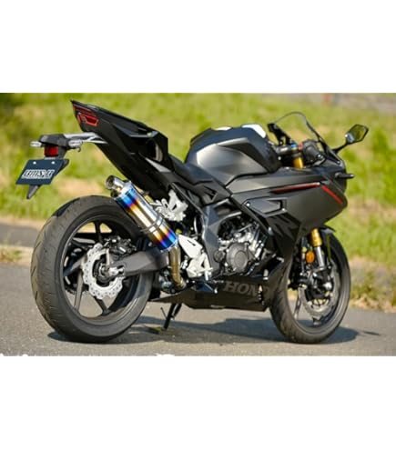 Amazon | オーヴァーレーシング(OVERRACING) マフラー TT