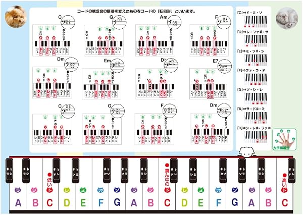 浮かぶ! 和音コード お風呂ポスター / 両面 / A3サイズ / ピアノ 音符 リズム 鍵盤 初心者 独学 音楽 教材 レッスン用品 防水 学習 - 1