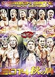 DRAGON GATE 2014�g�H�̐w�h