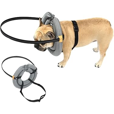 Amazon.co.jp 最新リリース: 犬用目のケア の新着ランキングです。