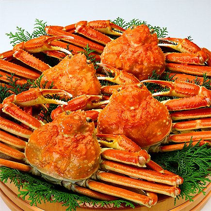 �b���g ���� �{�C�����킢���� �p 3kg�i750g�O��&times;4������j