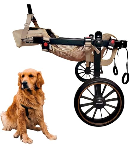 Amazon.co.jp: 調節可能な車輪犬の車椅子、障害のあるペットは犬が歩く