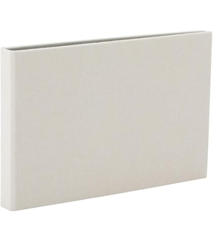 Amazon.co.jp: ナカバヤシ ポケットアルバム デジオフォトストッカー2L