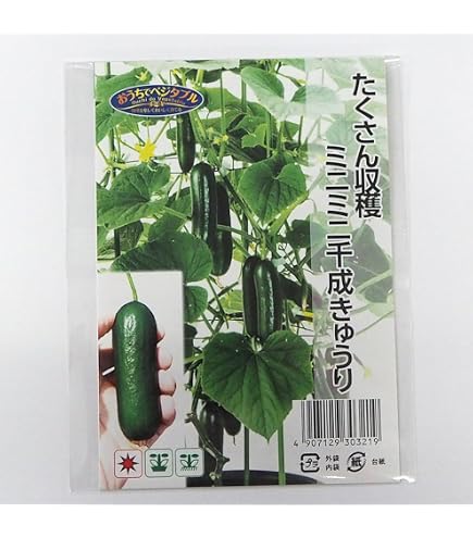 Amazon.co.jp: 中国野菜の種 長夕顔20粒 瓠瓜 夜開花 蒲瓜 瓢瓜 : DIY