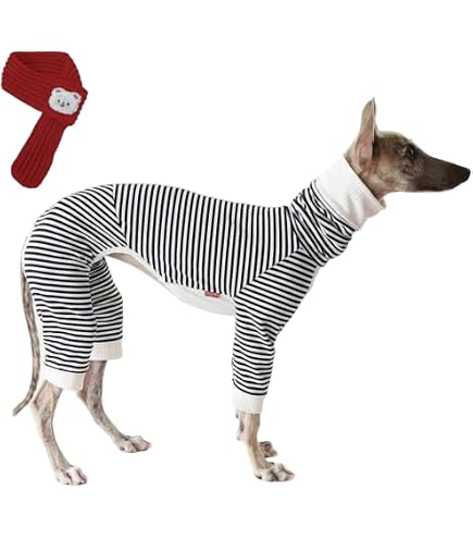 Amazon.co.jp: 犬服工房カントリーワンピース型紙 イタグレ&ウィペット