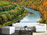 wall26 粘着式 Wall Muralシリーズ 壁紙 大型。 100"x144" WMR-WP-X-D373-100x24x6