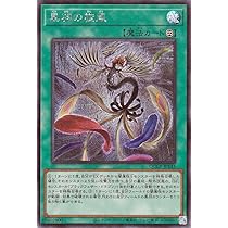 Amazon.co.jp: 遊戯王カード 黒羽の旋風(シークレットレア