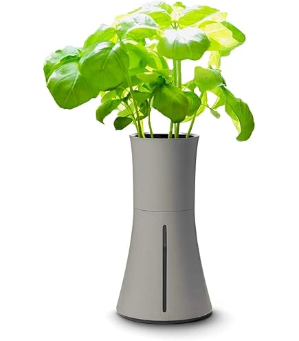 自動水耕栽培キット BOTANIUM（ボタニアム）グリーン 新品・未使用 Amazon｜BOTANIUM(ボタニアム) 水耕栽培キット ローレルグリーン｜栽培