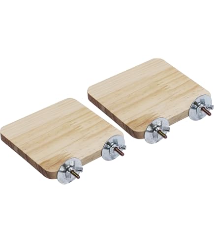 Amazon | 【まとめ買い】小動物用 かじり木コーン Sサイズ 固定タイプ