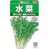 サカタのタネ 実咲野菜2970 水菜 千筋キョウナ 00922970