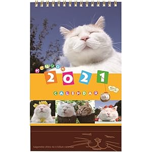 学研ステイフル 2021年 かご猫 カレンダー 卓上 M09093