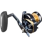 Amazon.co.jp: ダイワ(DAIWA) ジギングベイトリール 25SALTIGA