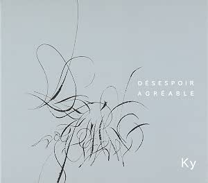 Amazon Desespoir Agreable 心地よい絶望 デゼスポワー アグレアーブル Ky Ky 仲野麻紀 ヤン ピタール 室内楽 器楽曲 ミュージック