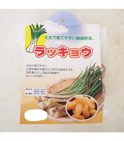 Amazon.co.jp: 元祖 沖縄本島産 島らっきょう種苗 100本 島ラッキョウ