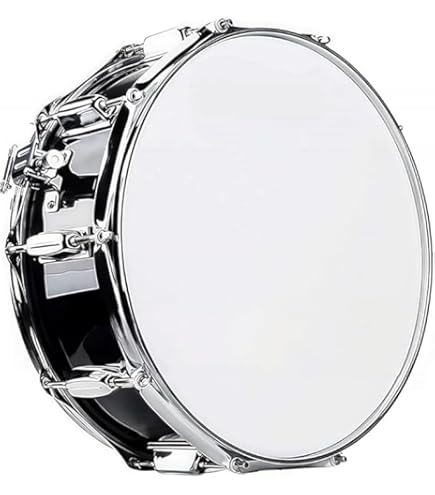 Amazon.co.jp: CONTEMPORANEA コンテンポラネア カイシャ 12インチ CO