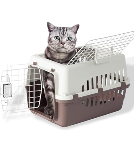 Amazon | アイリスオーヤマ トラベルキャリー ライトグレー HC-630