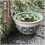 信楽焼 16号バラ彫りすいれん鉢 睡蓮鉢 スイレン鉢 金魚鉢 水鉢 陶器 su-0059