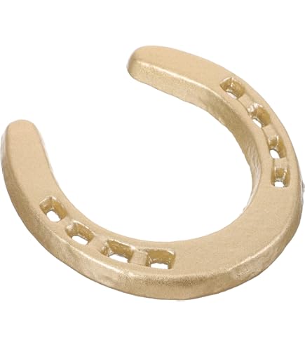 Amazon.co.jp: MUCKLILY 馬蹄壁掛け 鉄製 78mm 壁飾り 屋内装飾 幸運