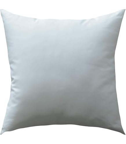 Amazon.co.jp: 桜田通 どおりいぬ クッション 約70cm グッズ : ホーム