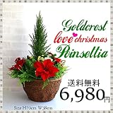 ラブクリスマス ゴールドクレストプランター 寄せ植え ミックス ゴールドクレスト 造花 生花そっくり フェイクグリーン 置き型 アレンジメント 寄せ植え ディスプレイ 大量注文可能 領収書発行 贈り物