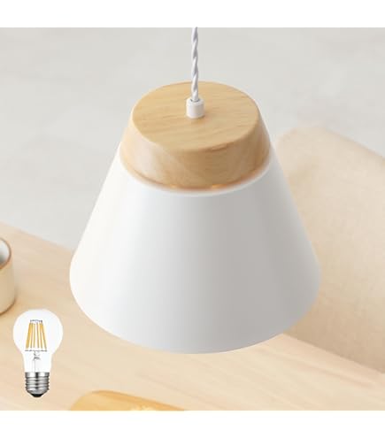 Amazon | ペンダントライト 1灯 - ランダー - LANDER ダークブラウン