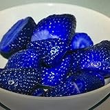 イチゴ種子ツリーシードクライミング500枚ブルー、ホーム＆ガーデン盆栽種子については、非常においしいフルーツ種子、送られたギフトAS10のキウイ