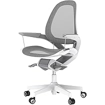 fellowes ELEA-J フェローズ エレア ジェイ　イス Fellowes Elea-J / フェローズ エレア ジェイ オフィスチェア