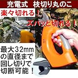 庭木の剪定はこれにお任せ！