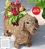 LAND PLANTS 【ガーデニング用品】 ミニチュアダックス バスケット Sサイズ ダックス