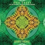 Celtic Vedic