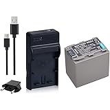 NinoLite 3点セット NP-FP90 互換 バッテリー +USB型 充電器 +海外用交換プラグ 、ソニー Sony 対応 dc04npfp90