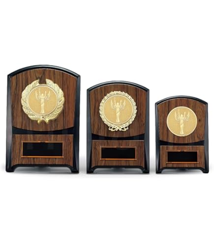 野球木材盾 野球専用記念盾】木製野球記念盾 DVSX5543シリーズ（サイズ：高