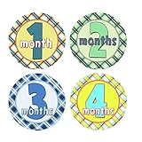 Monthly Baby Stickers Boy Plaid 1-12 Months Milestone Baby Shower Gift Bonus Sheet Included by INKtr