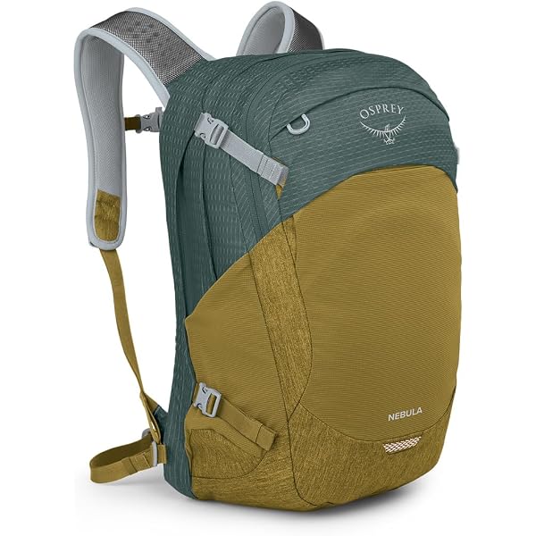 Amazon.co.jp: OSPREY(オスプレー) クレスタ30 パインリーフグリーン