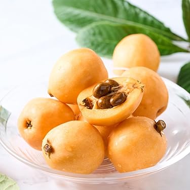 Amazon.co.jp 売れ筋ランキング: びわ の中で最も人気のある商品です