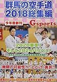 Gスポーツ 群馬の空手道2018総集編