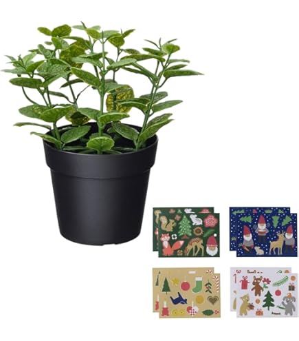 Amazon｜IKEA イケア 人工観葉植物 室内 屋外用 ピレア 9cm m20600888