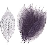 東京堂 ドライフラワー ミニスケルトンリーフ大 (40枚入) #パープル FD004503-017