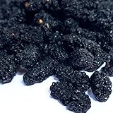 もりひさ屋 桑の実 240ｇ マルベリー 無農薬栽培 添加物不使用 薬膳食材 フルーツティー 果物茶 ノンカフェイン Black Mulberries 干し黒桑の実 乾燥黒桑の実 桑葚幹 桑葚 桑葚干 桑実幹