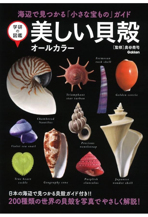 世界の貝大図鑑 形態・生態・分布 | M.G.ハラセウィッチ, ファビオ