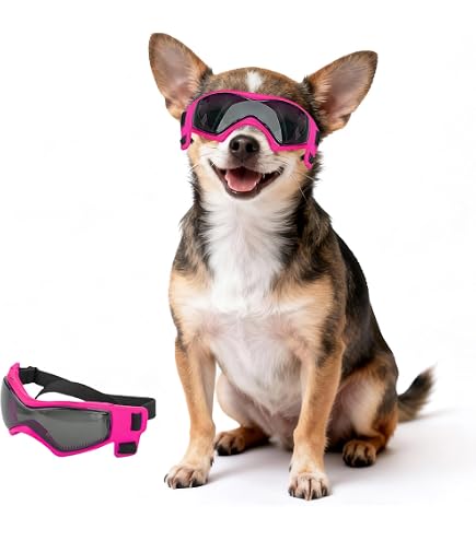 Amazon | LESYPET 小型犬用サングラス 犬用ゴーグル UVカット 防風