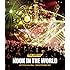 the pillows「NOOK IN THE WORLD 2017.07.22 at Zepp Tokyo "NOOK IN THE BRAIN TOUR"(Blu-ray)」