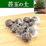 さあ、苔玉を作ってみませんか？苔があるという方はこちら【苔玉（こけだま）の土10個セット】
