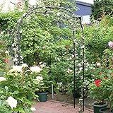 ヨーロッパスタイルの花のアーチは、花の棚を登るクレマチスの蔓は等山のフレームを登る植物の植物の花ステント ( サイズ さいず : S s )