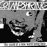 THE SOUND OF A NEW WORLD BEING [LP] [Analog]