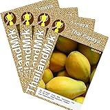 パパイア Thai Sweet papaya Caricaceae 4 Bulk ThailandMrk