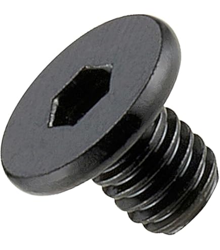 Amazon | Entaniya ミリネジ 黒ステンレス 六角穴付き極低頭ネジ M5