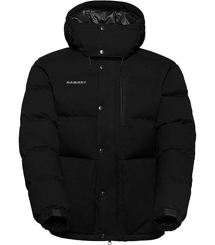 Amazon.co.jp: Mammut ROSEG IN HOODED JACKET AF MEN CLASSIC (ロゼグ